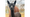 Gal-paca: Lehigh Valley Zoo has its 1st female newborn alpaca. Now it needs a name.